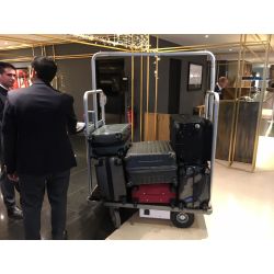 Baggage trolley