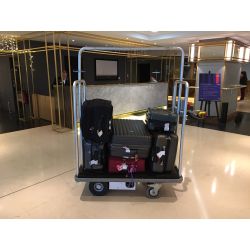 Baggage trolley